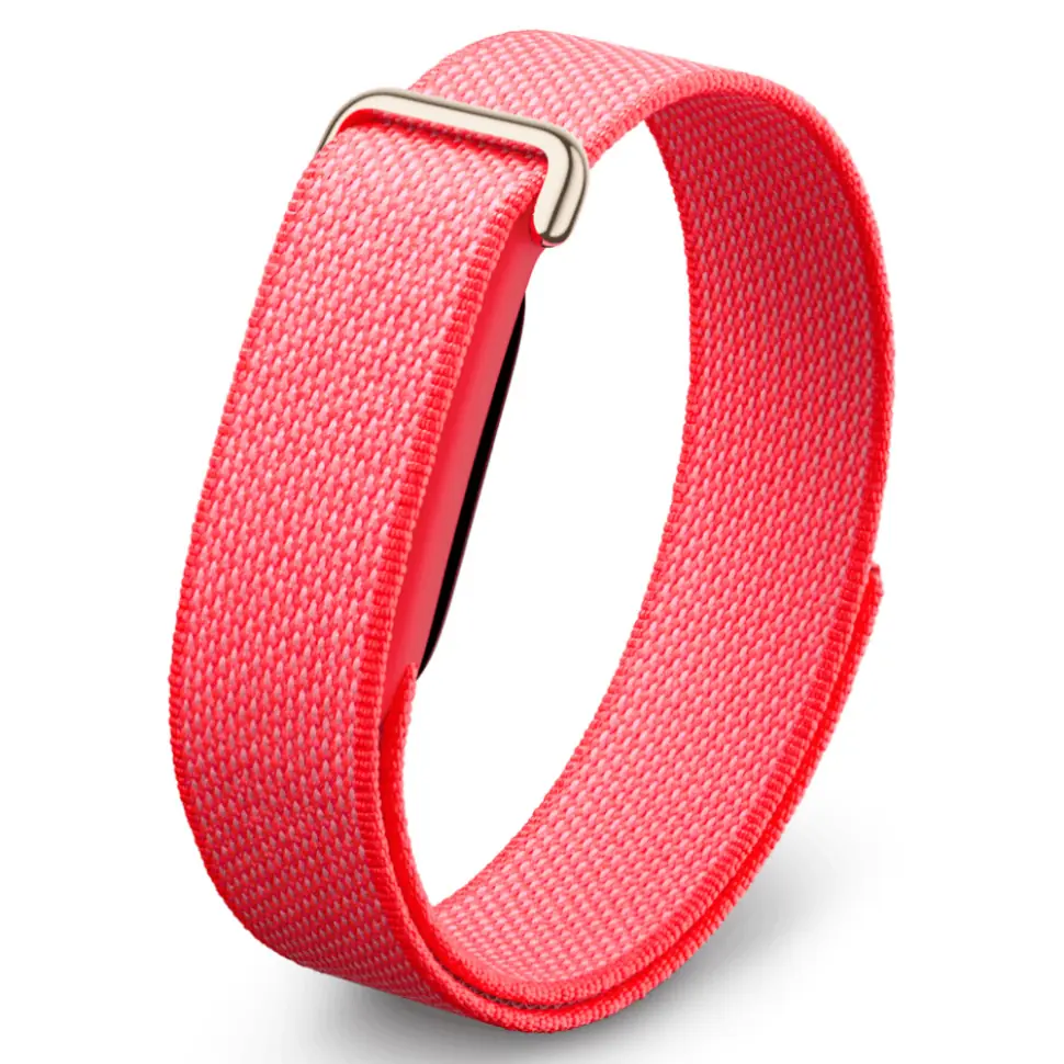 Google Fitbit Air, Berry