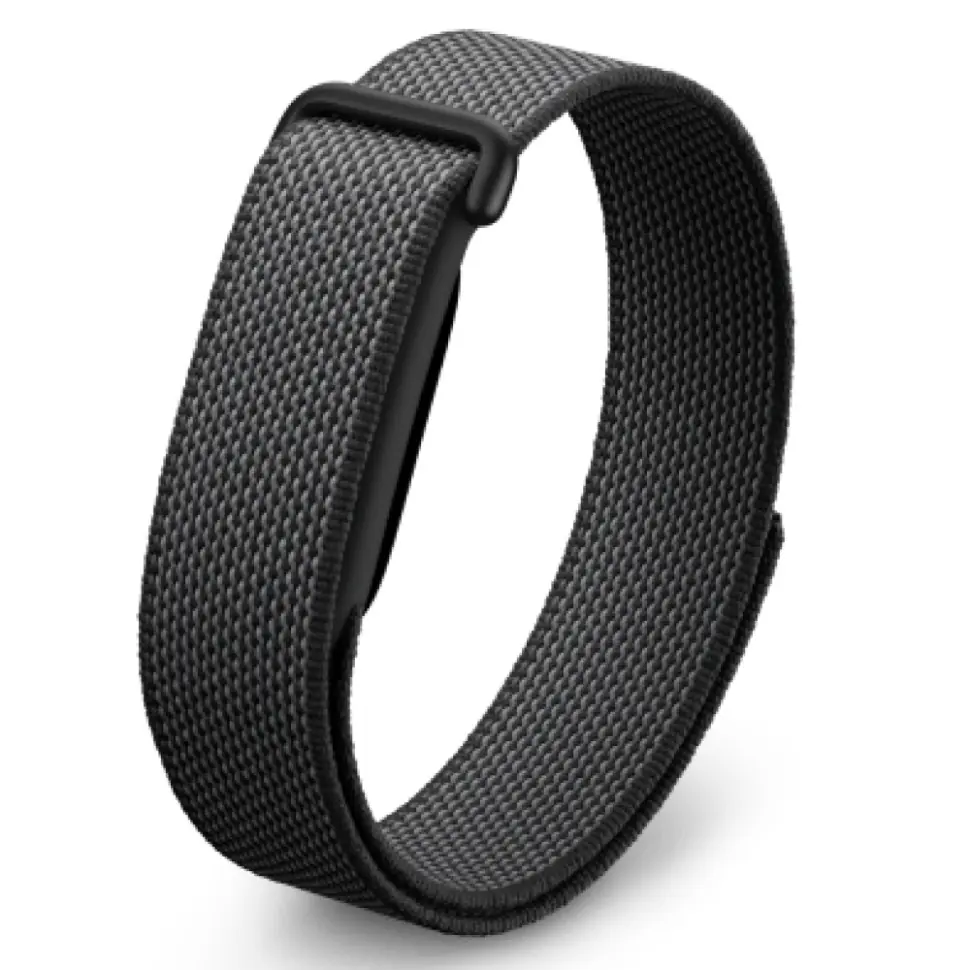 Google Fitbit Air, Obsidian