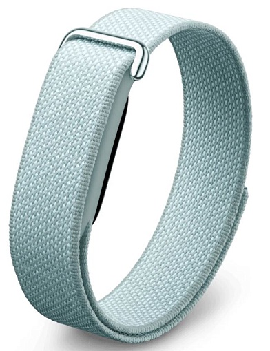 Google Fitbit Air, Fog