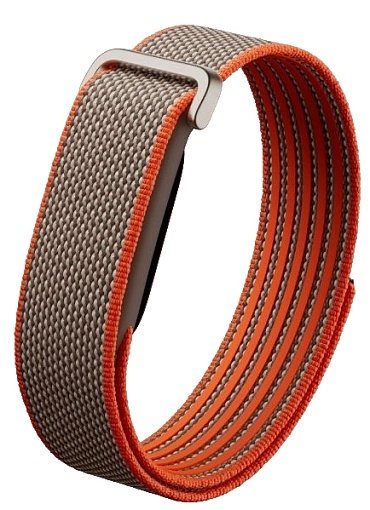 Google Fitbit Air, Stephen Curry